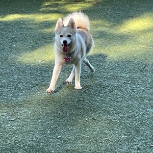 Meet your Posher, Barb e.